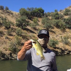 Meet your Posher, Bishoy